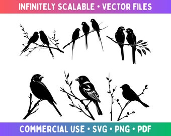 Vögel SVG-Bundle, Liebesvögel PNG-Bundle, Vögel Silhouette Bundle, SVG für Cricut und Sublimation, Vektordateien, Spatz SVG, Vögel Clipart