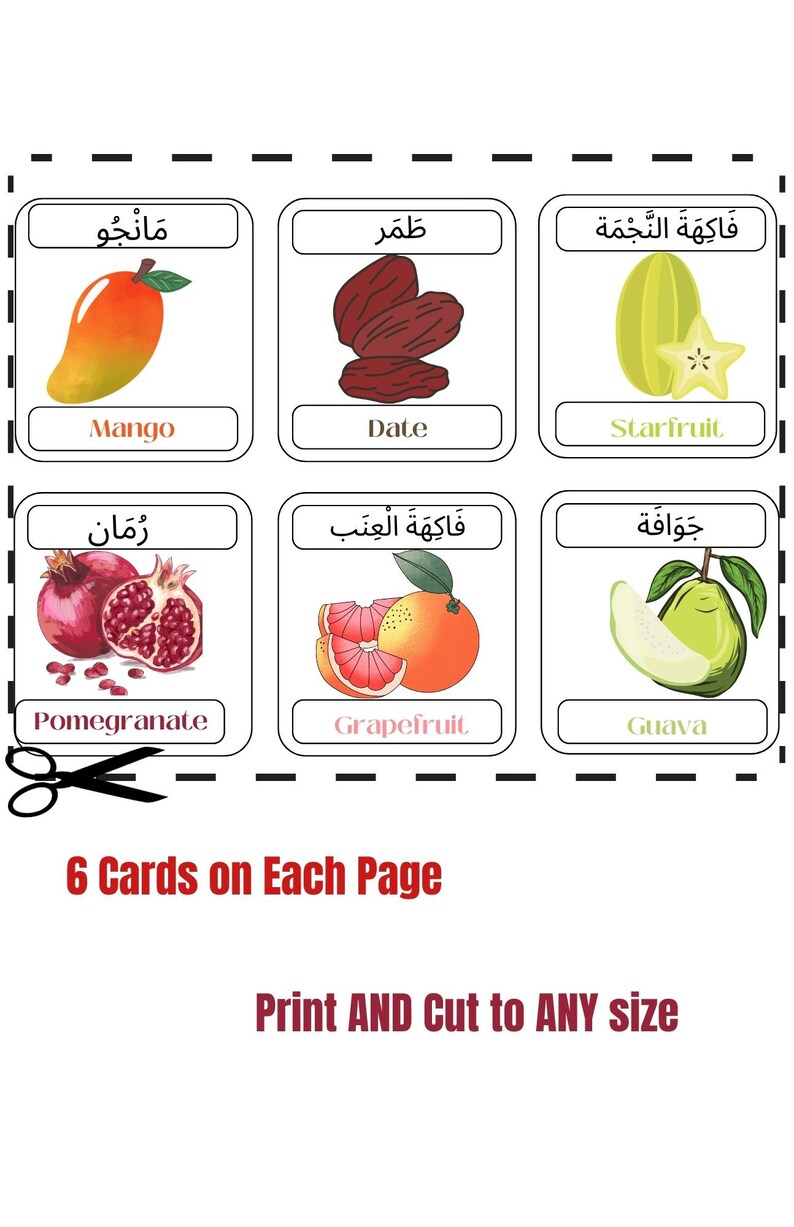 Arabic Educational Fruit Flash Cards English and Arabic Easy Beginners ...