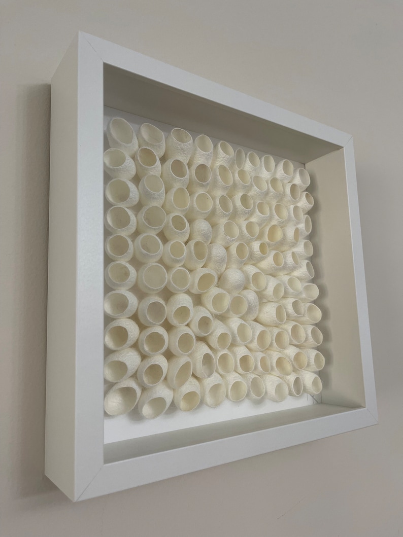 May include: A white framed artwork featuring a grid of white silk cocoons, arranged in a staggered pattern.