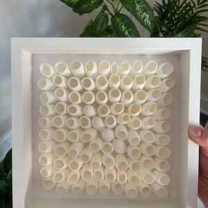 May include: A white framed artwork featuring a grid of white, textured, cylindrical objects arranged in a pattern. The artwork is signed with a black letter "K" in the bottom right corner.