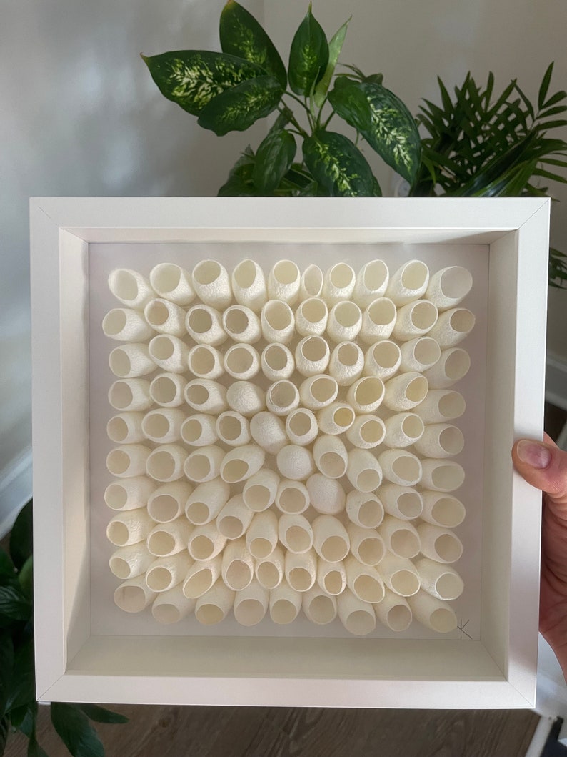 May include: A white framed artwork featuring a grid of white, textured, cylindrical objects arranged in a pattern. The artwork is signed with a black letter "K" in the bottom right corner.