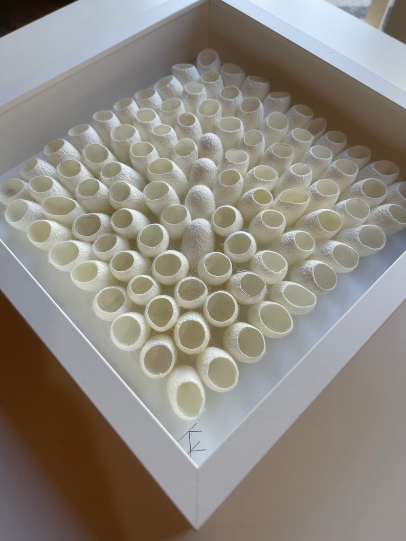 May include: A white framed artwork featuring a symmetrical arrangement of white silk cocoons, creating a textured and organic pattern.