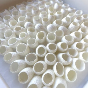May include: A close-up of a white framed artwork featuring a collection of white silk cocoons arranged in a geometric pattern.