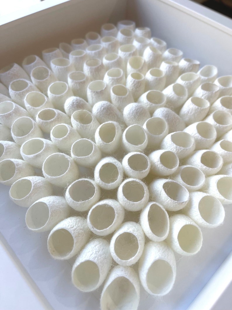 May include: A close-up of a white framed artwork featuring a collection of white silk cocoons arranged in a geometric pattern.