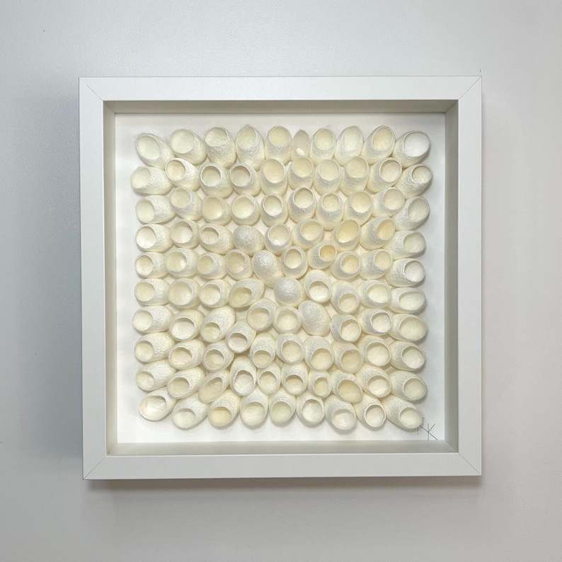 May include: A square artwork framed in white, featuring a grid of white silk cocoons.