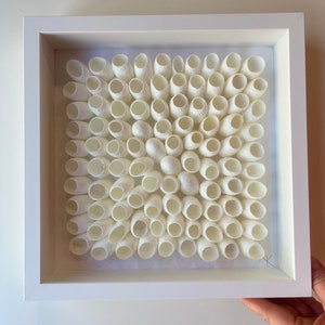 May include: A square artwork framed in white, featuring a grid of white silk cocoons.