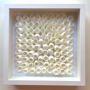 May include: A white framed artwork featuring a square arrangement of white silk cocoons. The cocoons are arranged in a circular pattern, creating a visually appealing and textured design.