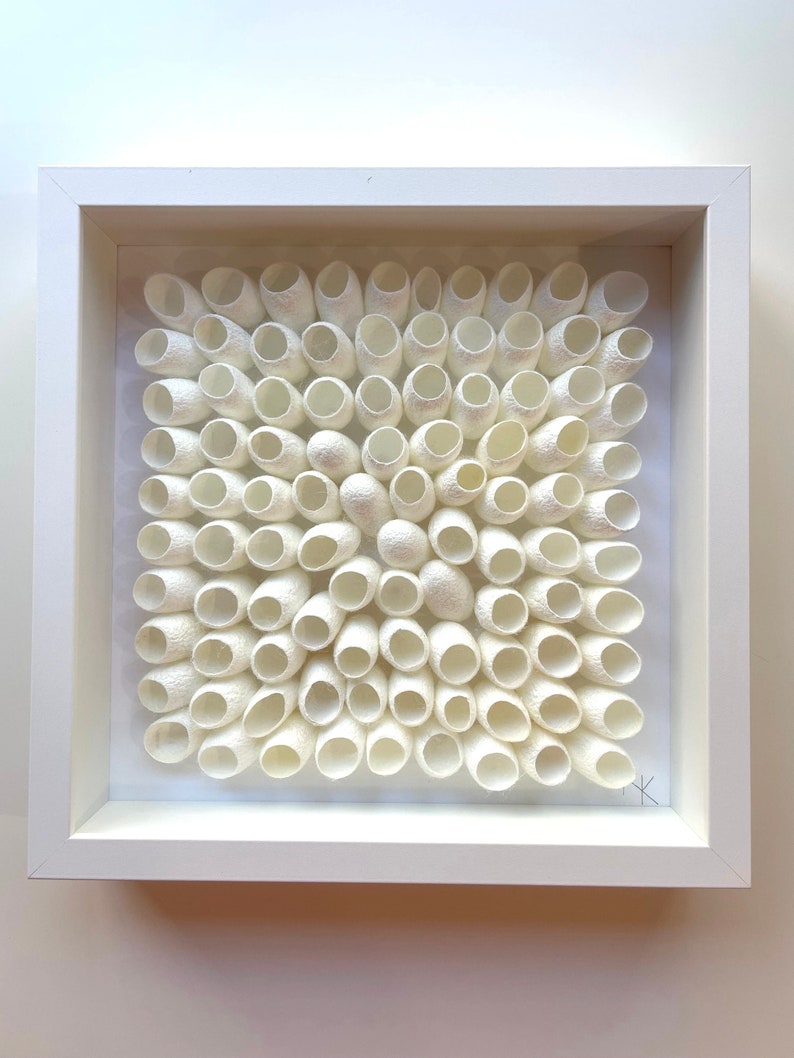 May include: A white framed artwork featuring a square arrangement of white silk cocoons. The cocoons are arranged in a circular pattern, creating a visually appealing and textured design.