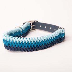 May include: A blue, teal, and light blue braided dog collar with a silver buckle.