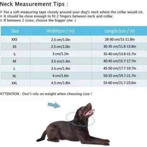 May include: A chart with instructions on how to measure a dog's neck for a collar. The chart shows different sizes with corresponding neck widths and lengths in inches and centimeters. The chart also includes a picture of a dog wearing a collar.