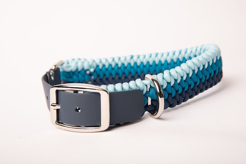 May include: A blue, teal, and light blue braided dog collar with a dark gray leather strap and silver buckle.