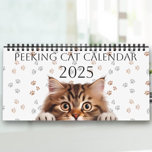 2024 Cat Calendar Desk Etsy