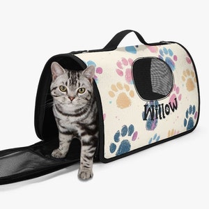 Custom Pet Carrier, Custom Cat Carrier, Cute Pet Carrier, Custom Dog Carrier, Gift Giving Idea