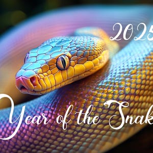 Calendario da parete Serpent 2025: un planner erpetologico unico con illustrazioni mistiche di serpenti