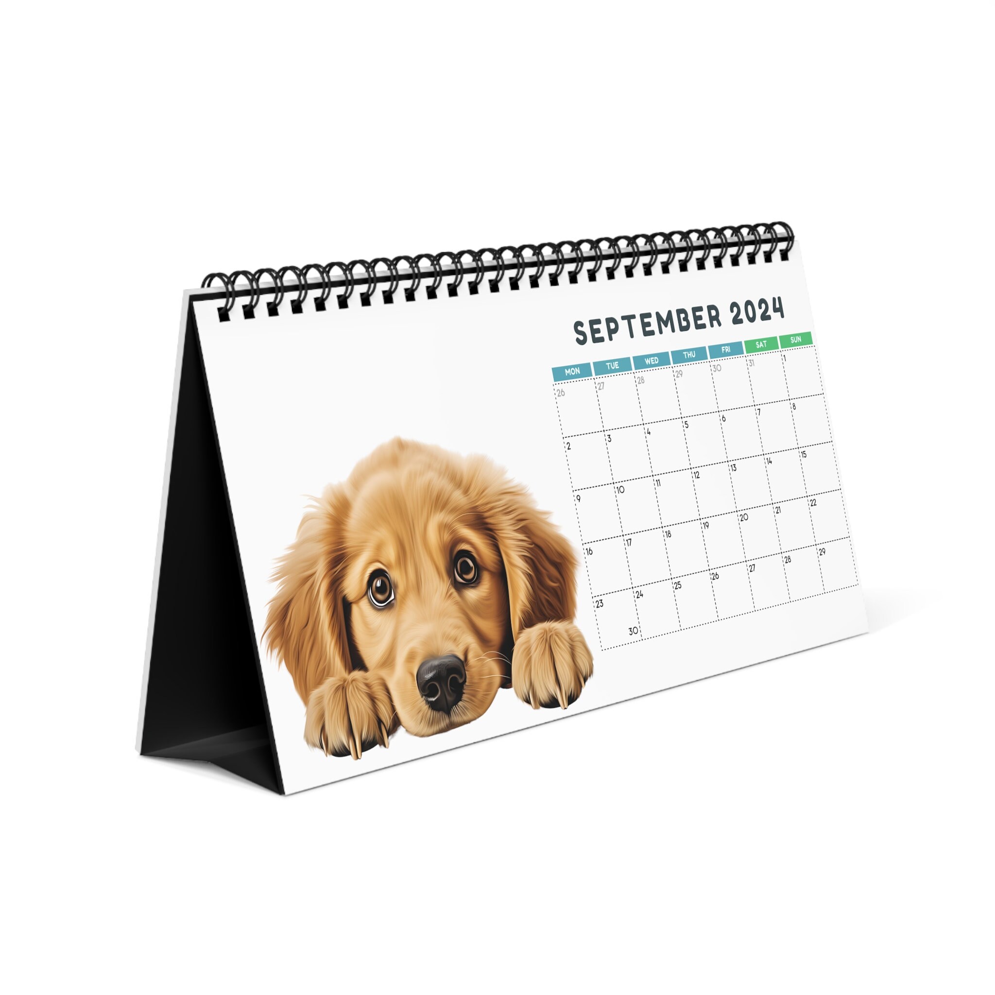 Peeking Dog Desk Calendar Calendar 2024 Dog Calendar Dog Etsy UK