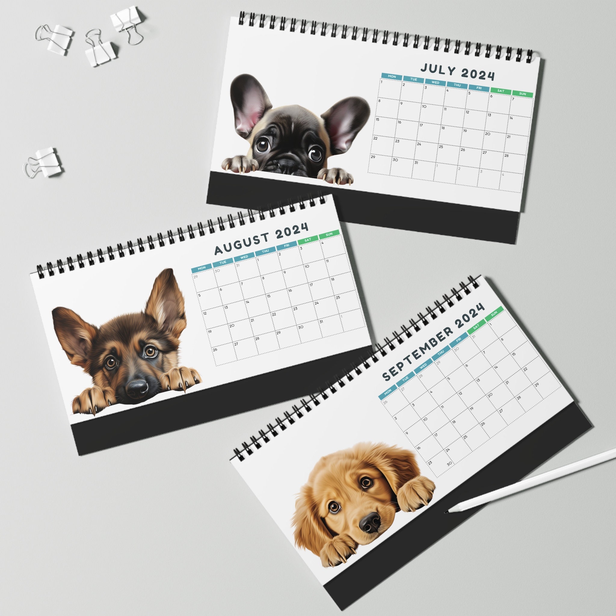 Dog Calendar, Peeking Dog Desk Calendar, Calendar for 2024, Dog Desk