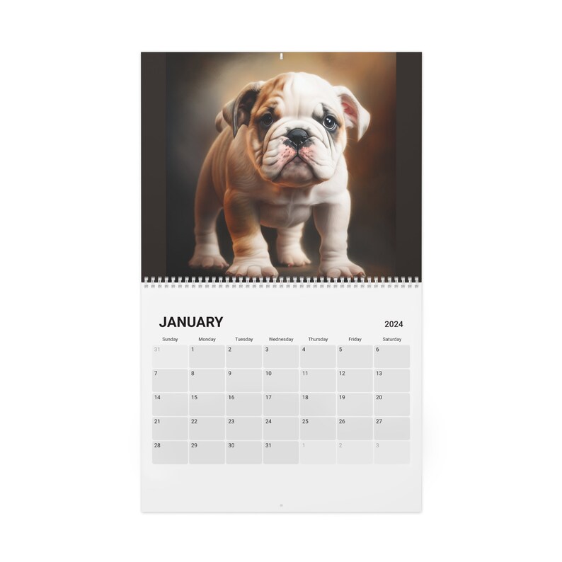 Puppy Calendar, 2024 Puppy Calendar, Puppy Calendar, Gift Idea, Host