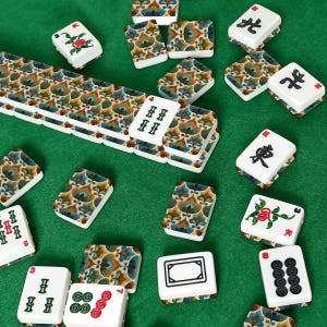 Juego de fichas de mahjong retro americano / 166 piezas de acrílico, ideal para una noche de juegos. imagen 9