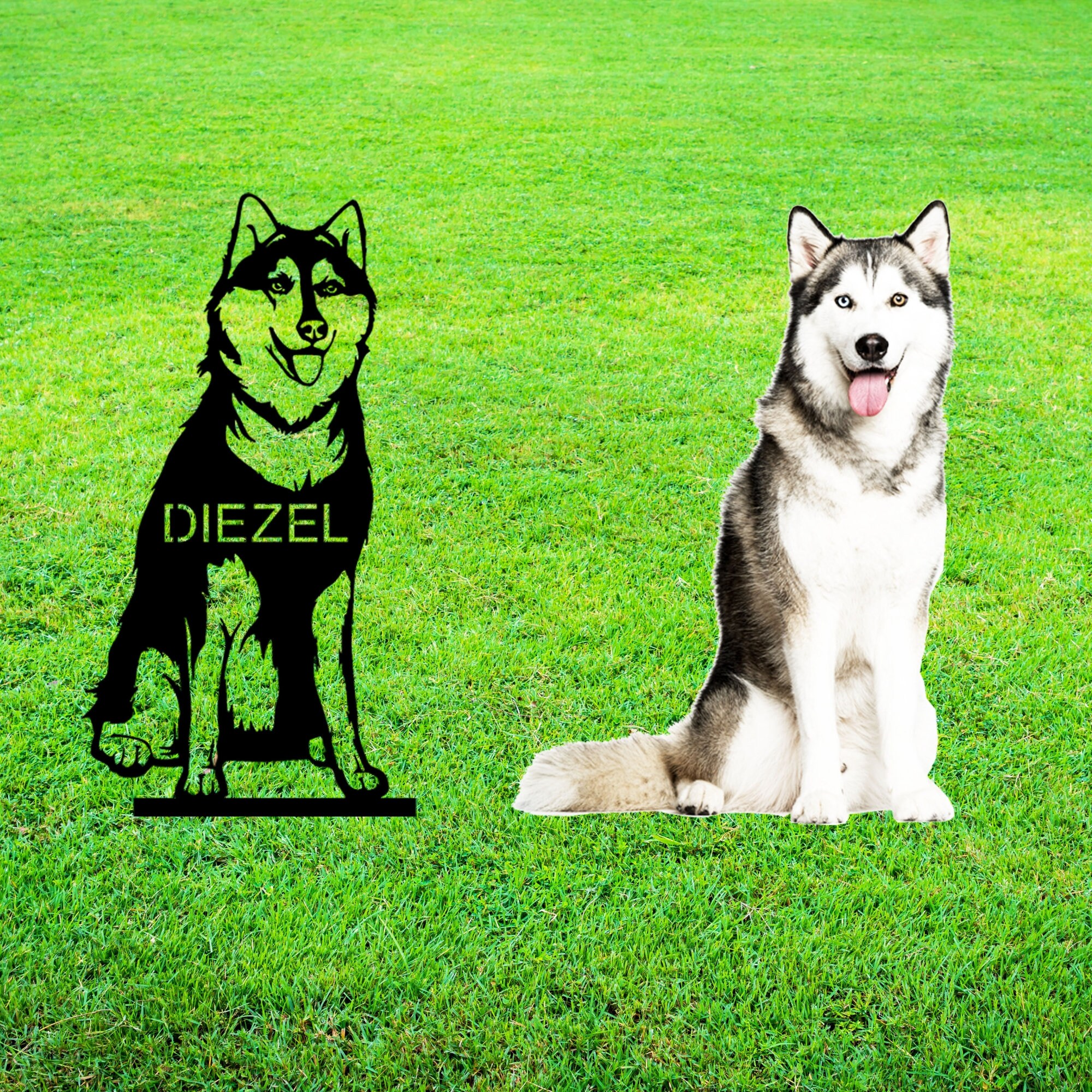 Illustration: hasard et probabilités