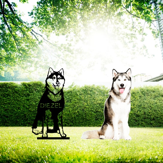 Image de Stake246 Casino