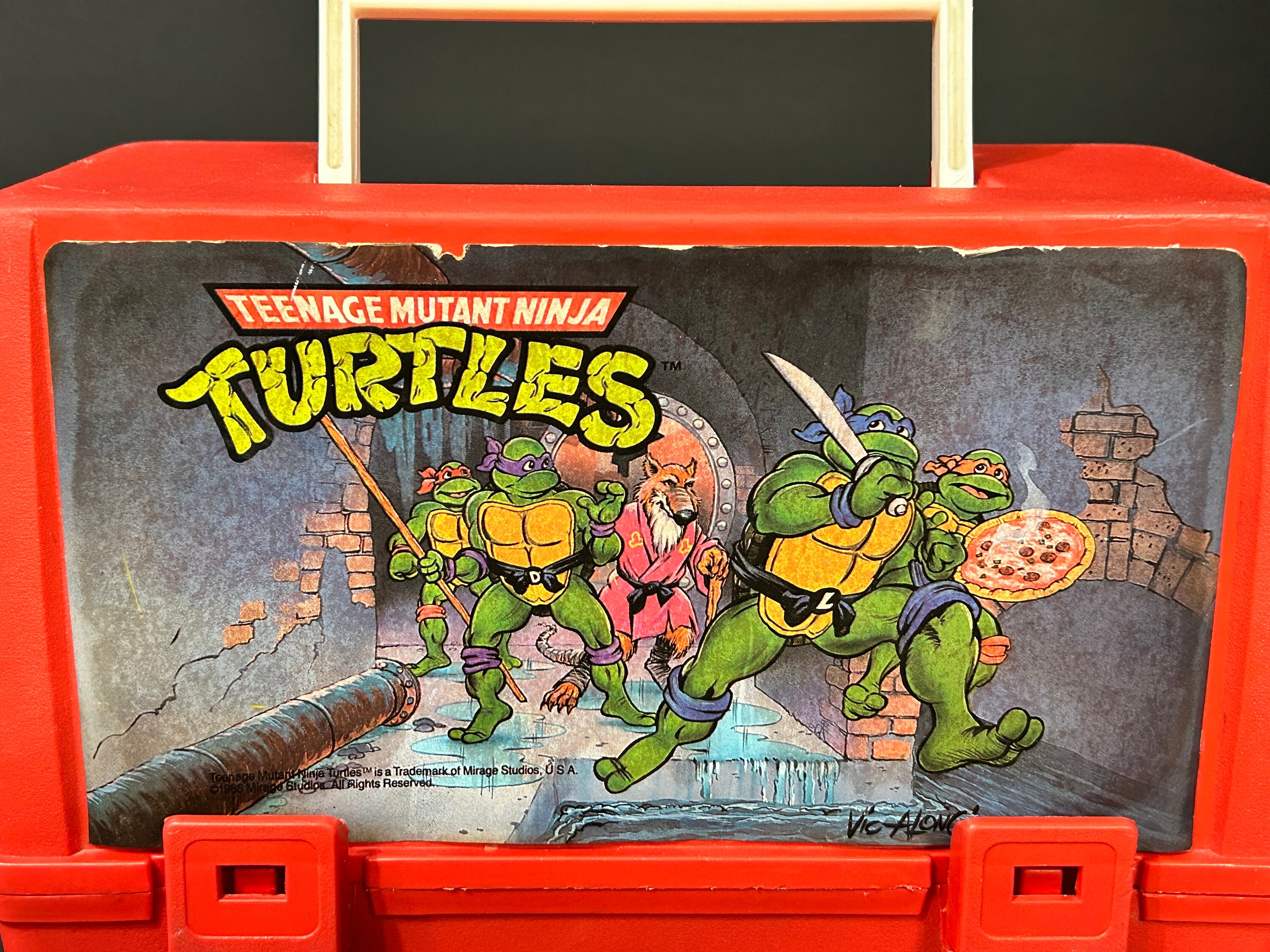 Vintage 90s TMNT Lunch Kit, Canadian Thermos Products Teenage