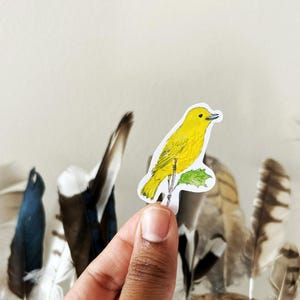 May include: A die-cut sticker featuring a bright yellow bird perched on a small green leaf. The bird is depicted in a detailed illustration style with visible black ink outlines, showcasing a vibrant yellow body, wings, and tail feathers.