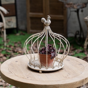 Vintage Distressed Birdcage Shape Planter White Decorative Plant Holder Rooster Top Metal Crown Planter Rustic Garden Home Decor Gift