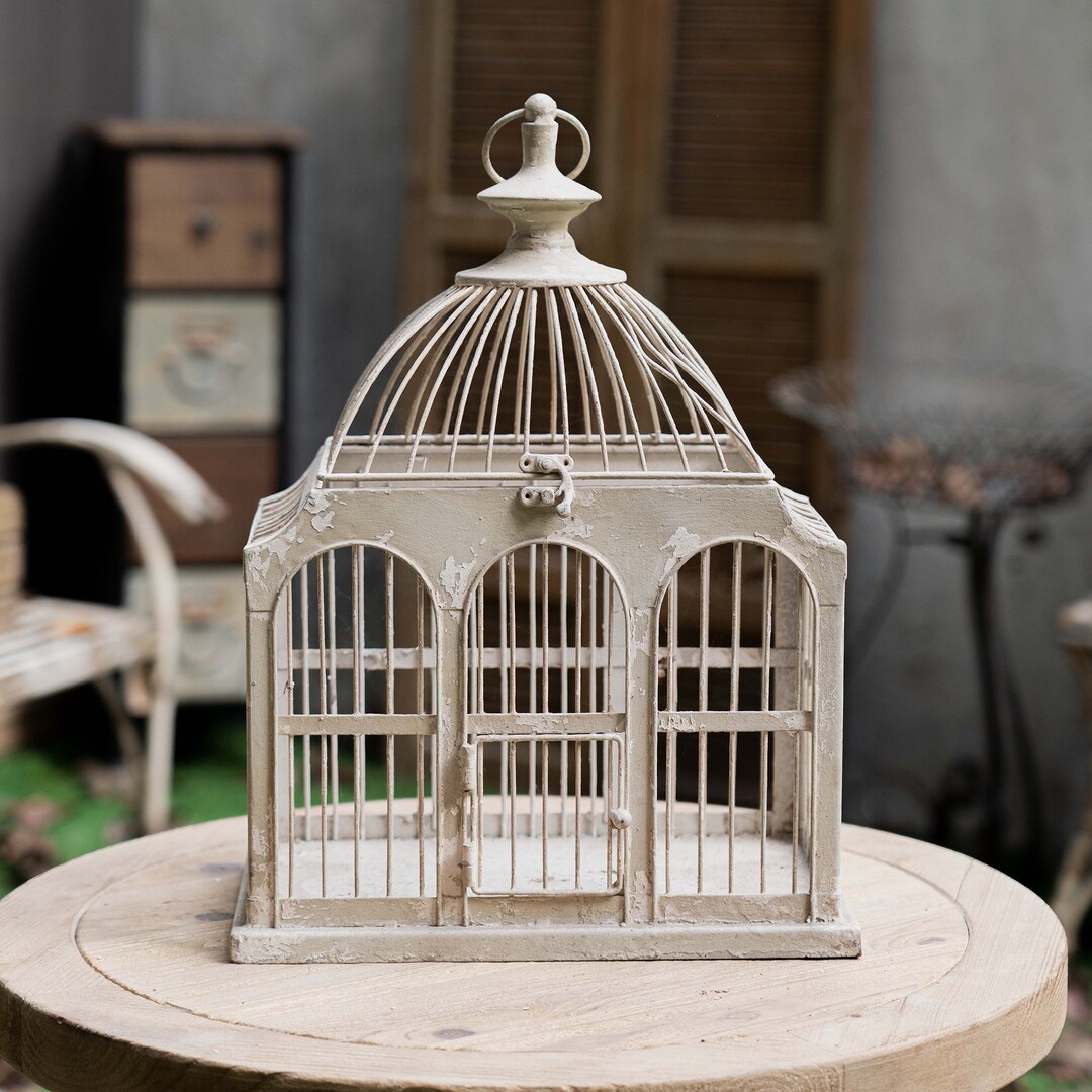 Antique garden/ガーデン オーナメント/bird cage Antique garden/ガーデン オーナメント/bird cage（バード