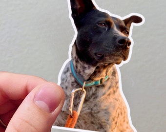 Custom Photo Dog Sticker | Waterproof Vinyl Sticker | Personalized Pet Sticker | Custom Pet Portrait Decal | Laptop & Water Bottle Sticker