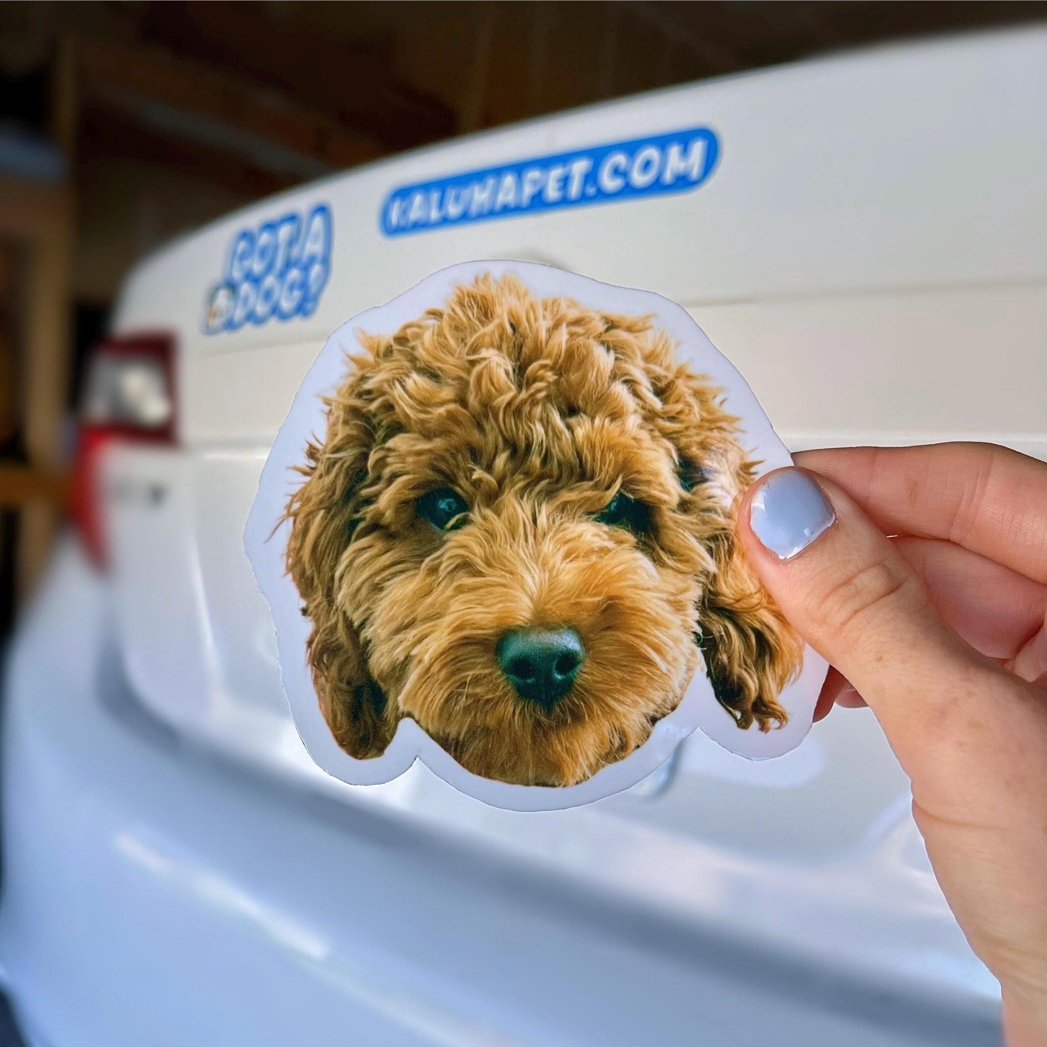 Custom Car Magnet | Waterproof & UV Laminated | Personalized Pet Face Design | 30 mil Heavy Duty Vehicle Magnet