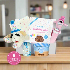 Happy Birthday Dog Gift Box | Toys, Treats, Bandana, and Goodies | Dog Celebration Gift Basket | Custom Gift for Dog Gotcha Day