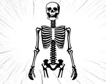 Skeleton SVG, Skeleton PNG, Skeleton Instant Download, Skull Cricut Cut Files, Skeleton Print File, Sublimation File, Silhouette Cut Eps Pdf