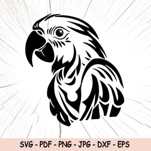 Parrot Png, Parrot Svg, Parrot Digital Download, Parrot Vector, Parrot Cut File, Parrot Silhouette, Parrot Vinyl Cutting, Parrot Cricut Eps