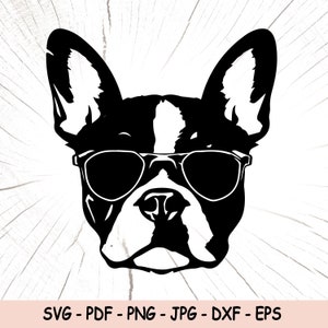Boston Terrier Svg, Boston Terrier With Glasses Png, Funny Terrier Digital Download, Terrier Vector, Funny Dog Cut File, Dog Wallart, Cricut