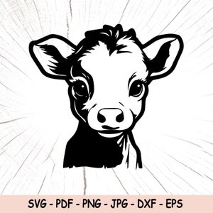 Cute Baby Cow SVG, Baby Cow PNG, Baby Cow Instant Download, Baby Cow Cricut Cut Files, Baby Cow Sublimation File, Baby Cow Silhouette File