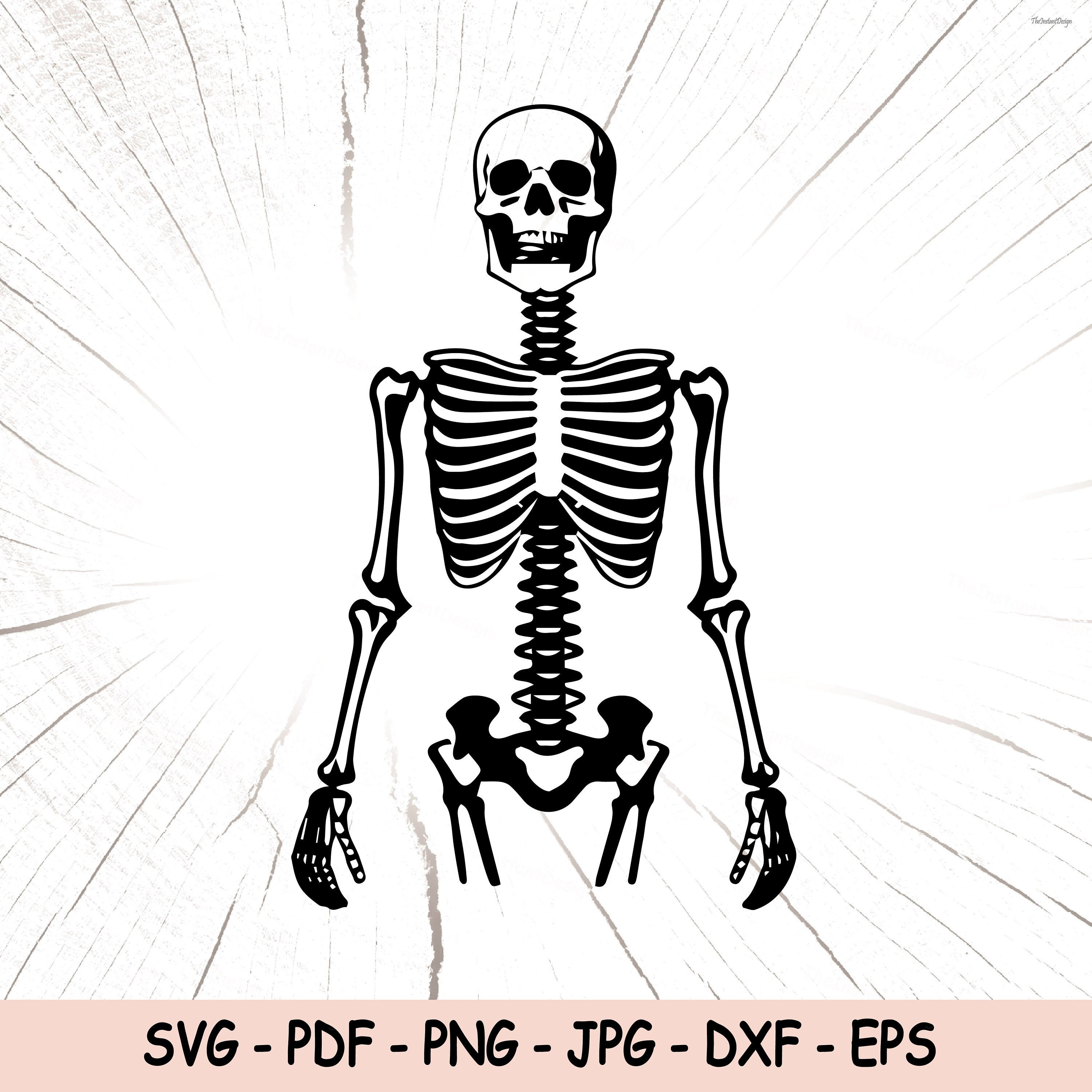 Skeleton SVG, Skeleton PNG, Skeleton Instant Download, Skull Cricut Cut ...