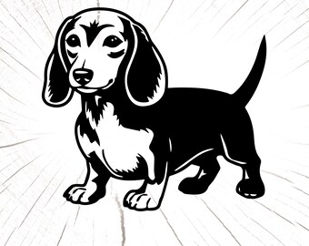 Dachshund Png, Wiener Dog Svg, Dog Tumbler Wrap, Dachshund Descarga digital, Vector, Cortar archivo, Silueta, Corte de vinilo, Dachshund Wall Art