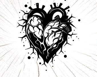 Human Heart Svg, Human Heart Eps, Anatomy Svg, Heart Vinyl Cut File, Heart Png, Jpg, Love Clipart, Valentine Digital Download, Heart Clipart