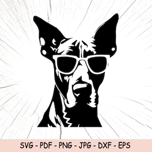 Doberman Svg, Doberman Pinscher con gafas Png, Descarga digital Doberman divertido, Vector Doberman, Archivo de corte de perro divertido, Arte de pared Doberman