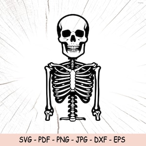 Skeleton Svg, Skeleton Svg, Halloween Svg, Skeletons Clipart, Skull Skeleton Hand Svg, Png, Eps, Cricut, Skull Silhouette, Skeleton Wall Art