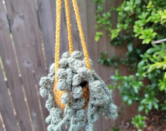 Crocheted String of Pearls Succulent Hanging Plant - Home Decor, Great Gift for any Plant Lover!