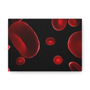 Human Red Blood Cells Canvas Gallery Wraps