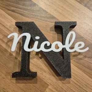 Puede incluir: Una letra "N" negra y gris con el nombre "Nicole" en escritura blanca. La letra tiene una apariencia texturizada, y el nombre está superpuesto. El fondo es una superficie de madera.