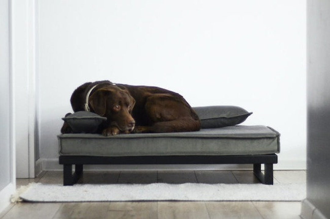 Ecological Orthopedic Dog Bed Metal and Velor Etsy