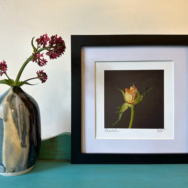 Rosebud | Framed Hand-Embroidered Photograph