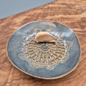 Blue ceramic grater for garlic and ginger (with brush)