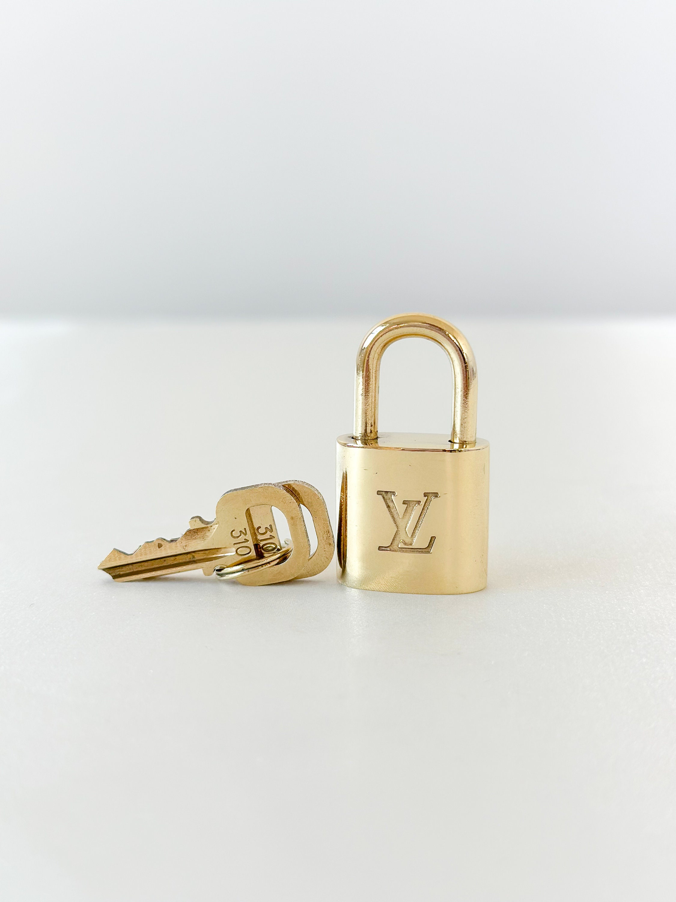 310 Louis Vuitton ideas  louis vuitton, vuitton, louis