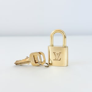 ❤️LOUIS VUITTON: Damier Ebene SPEEDY 25 Bag + LV Lock + LV Pink Gold  Keychain