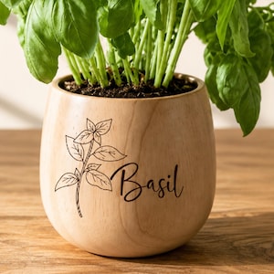 May include: A light-colored wooden planter with a rounded shape containing a green basil plant. The exterior of the planter features a black line drawing of a basil sprig and the word Basil written in a cursive script font on the front side.