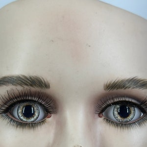 Puede incluir: Primer plano de una cabeza de maniquí con cejas y pestañas pintadas. El maniquí tiene ojos grises de aspecto realista.